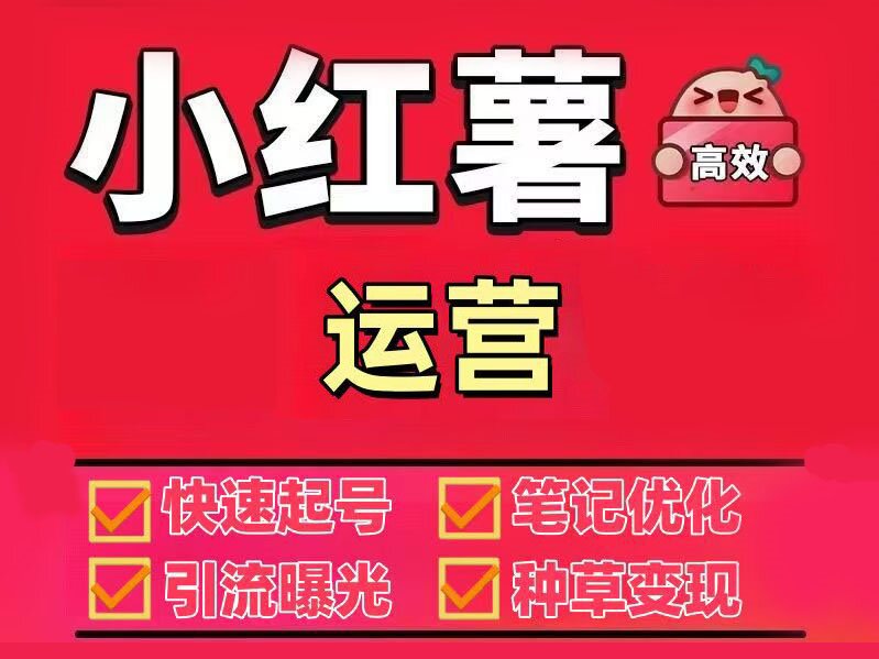 小红书商家必备技能：电商运营之推广变现全攻略